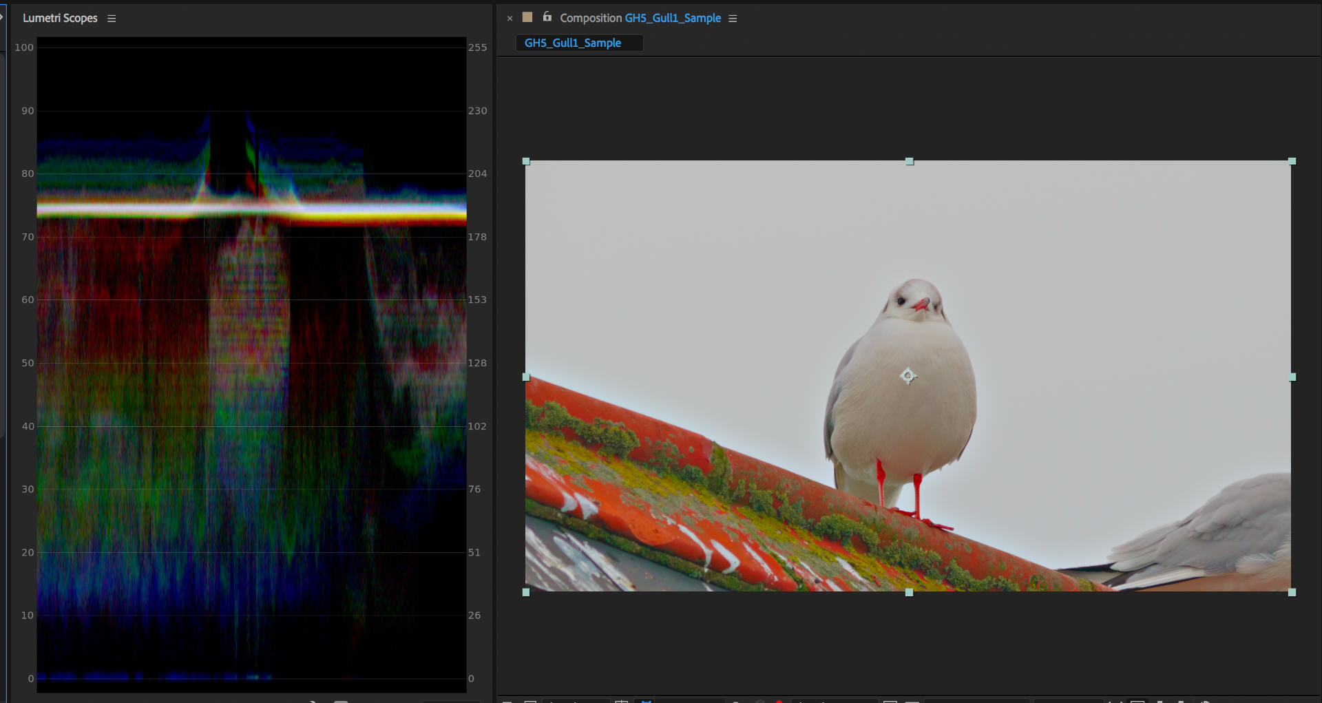 Screen Shot 2018-01-15 at 10.29.21 AM.png